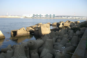 大和川の河口