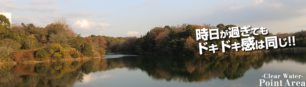 大阪府堺の池