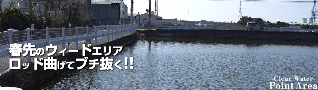 ���{�����s�̖�r