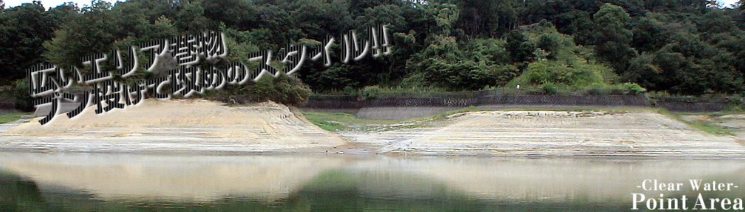 ���{�����r