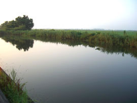 ���i�΂̐��H