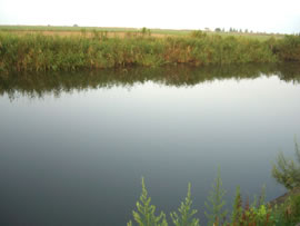 ���i�΂̐��H